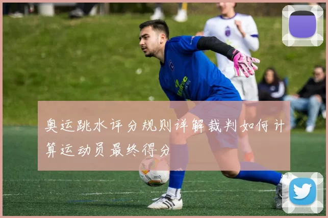 奥运跳水评分规则详解裁判如何计算运动员最终得分