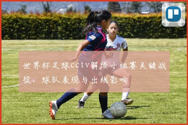 世界杯足球cctv解读小组赛关键战役、球队表现与出线影响