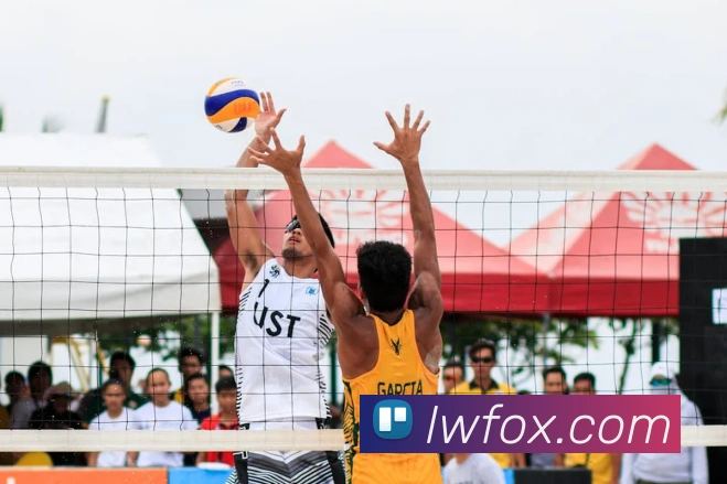 企业概况